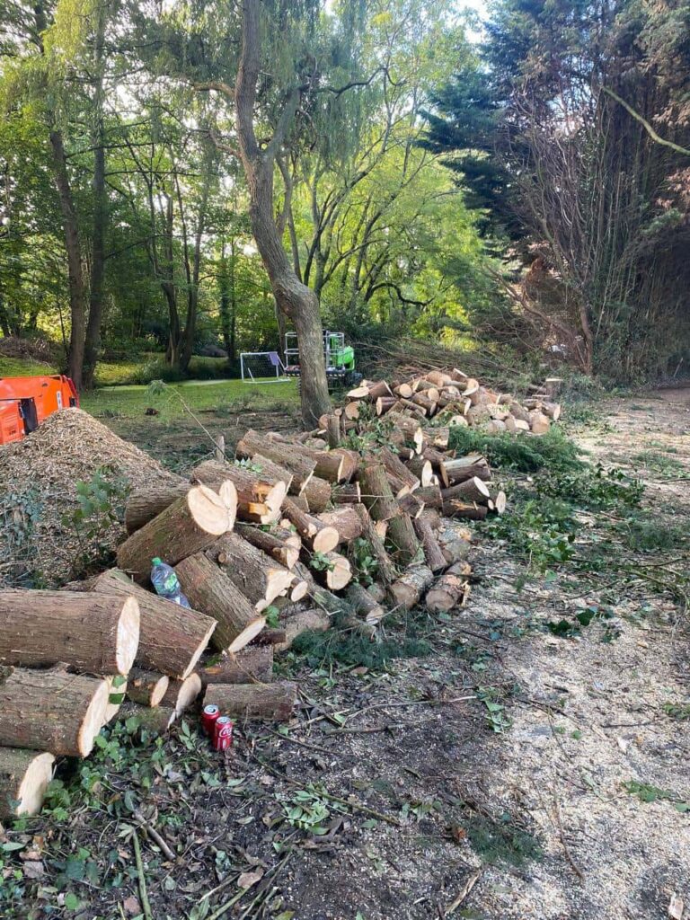 This is a photo of an overgrown large garden, which is in the process of having tree removal. The photo shows a stack of logs along the left hand side, from all the trees which are being removed. Photo taken by Armour Tree Surgery Northampton