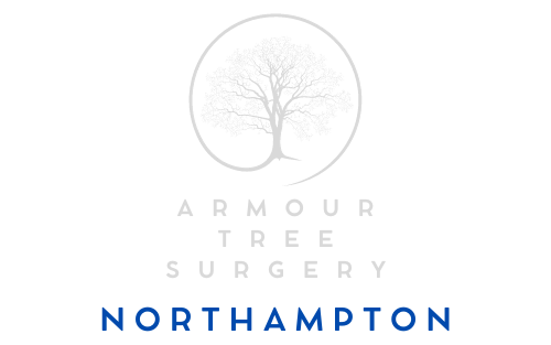 Armour Tree Surgery Northampton